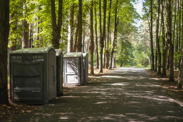 Best Tree Removal  in Davidson, NC